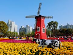 -大宁郁金香公园-停车场