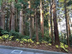 -瑞凤殿(Grave of Date Masamune)