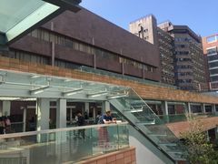 -香港大学