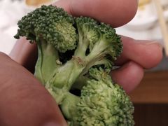 -龍歌自助小火锅(城阳万象汇店)