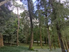 -中国科学院西双版纳热带植物园