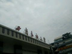 -成都民大动物医院