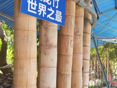 -竹泉农庄·竹筒饭(从化店)