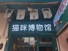 -猫咪博物馆(顶澳仔猫街店)