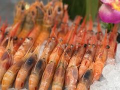 -菊上料理(蜀山银泰百货店)