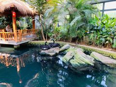 -南宫五洲植物乐园