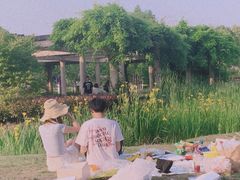 -菊园百果园