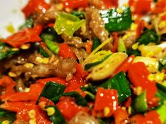 鸭掌筋-壹盏灯(惠农店)