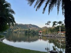 -深圳仙湖植物园