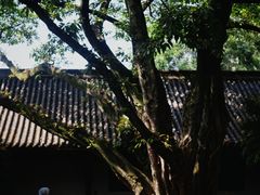 -成都武侯祠博物馆