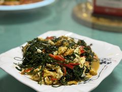 -煲来饱去冷水鱼