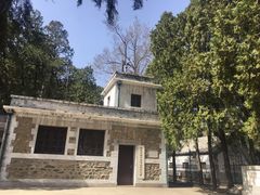 -北京鹫峰国家森林公园