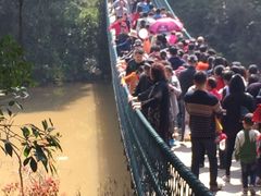 -南宁良凤江国家森林公园