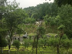 -都江堰中华大熊猫苑