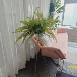 -汐月Health纤体spa中心