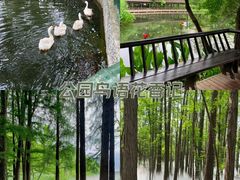 -东湖落雁景区