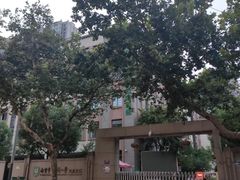 -南京市芳草园小学(凤凰校区)