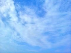 android_upload_pic-南汇嘴观海公园