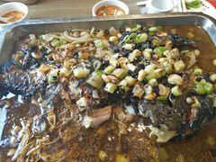 -巴渝菜馆(涿州店)