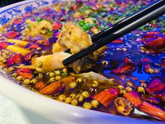 -新概念来凤鱼(璧山店)