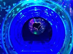 -海合安成都极地海洋公园