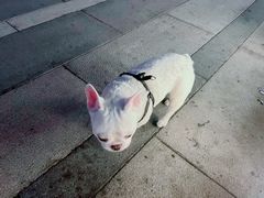 -The Diner X餐厅(青岛万象城店)