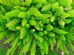 -眉山湿地公园(东坡区)