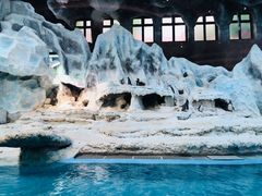 -帝企鹅自助餐厅•儿童岛•真企鹅(长隆企鹅酒店)