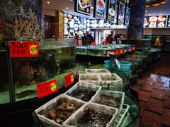 -东豪园林海鲜酒家(南港路辅路店)