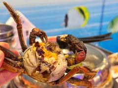 -乔哥铭洋海鲜自助(皇城恒隆广场店)