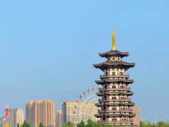 -洋湖国家湿地公园