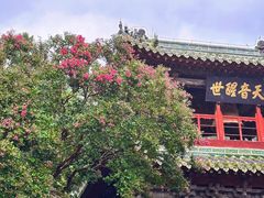 -报恩寺(平武县)