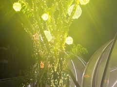 -悦见花开·花园里的火锅·露营·下午茶