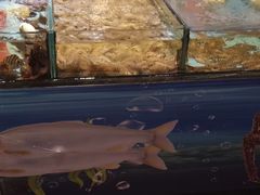 -食鼎记海鲜大排档(美食街店)