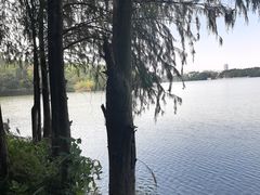 -海珠湖公园