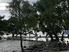 -宝安西湾红树林湿地公园