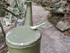 -玉女潭景区