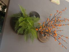 -菌彩云南野生菌火锅(万达广场店)