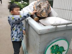 -盛世牡丹苑生态文化旅游区