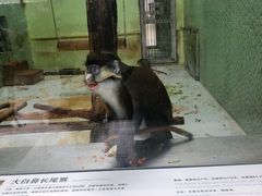 -太原动物园