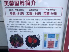 -泡桐树街