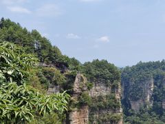 -麦当劳(西站店)