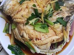 -新疆风味冷水鱼庄(友谊峰路店)