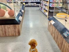 -宠物世家(仲盛世界商城店)