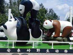 -西安秦岭野生动物园