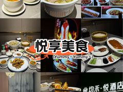 -宏宴·新京菜(望京店)