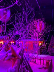 -圣名游乐城冰雪大世界