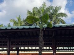 -侯臣咖啡文化村