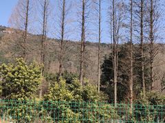 -虞山风景区
