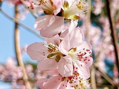 -中国中医科学院西苑医院(本部)